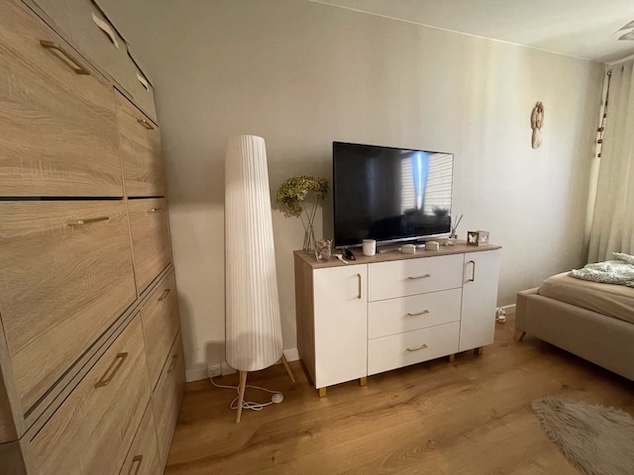 Zabudowa meblowa w salonie z komodą i telewizorem
